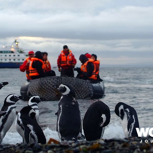 World-Journeys-Australis-Cruising-in-Patagonia-0-10706.jpg